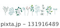 Set of minimalist botanical line art illustrations. Diverse leaves and branches. Perfect for creative project, textiles, home decor and modern design. Vector flat illustration. 131916489