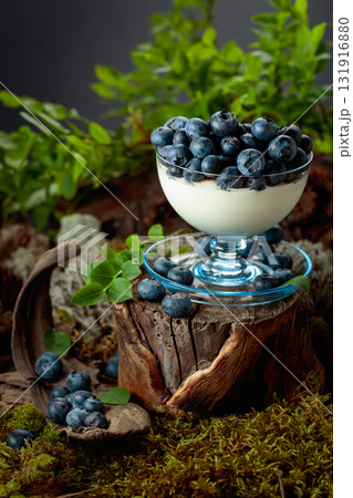 Panna cotta with fresh blueberries served in a clear bowl. 131916880