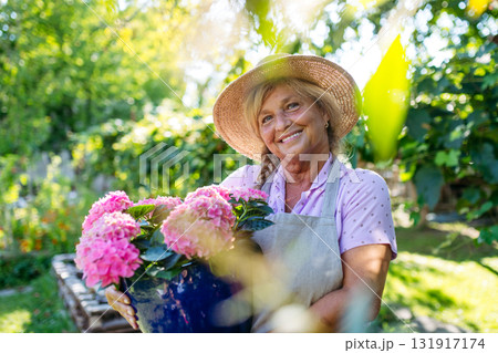 Smiling senior woman holding pot of pink flowers in garden. 131917174
