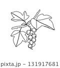 Black and White Outline Drawing Currant Branch 131917681