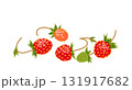 Ripe Red Wild Strawberry Isolated on White 131917682