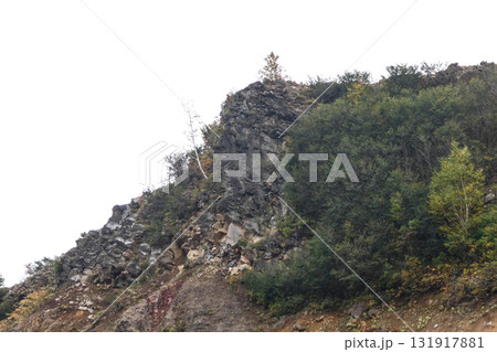 八幡平の断層が見える崖のてっぺんに白樺が生えて黄葉している 土が流れ下に広葉樹林が色づき笹が茂る 八幡平の断層が見える崖のてっぺんに白樺が生えて黄葉している 土が流れ下に広葉樹林が色づき笹が茂る 131917881