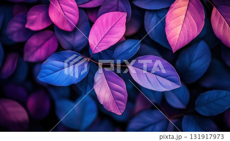 Stunning Macro Photography Of Exquisite Leaves With Blue And Purple Pink Hues Stunning Macro Photography Of Exquisite Leaves With Blue And Purple Pink Hues 131917973