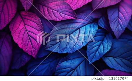 Stunning Macro Close Stunning Macro Close 131917974