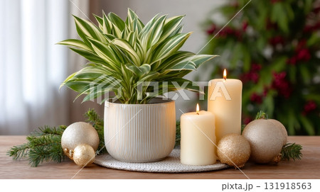 Houseplant decorating Christmas festive tabletop with lit candles Houseplant decorating Christmas festive tabletop with lit candles 131918563
