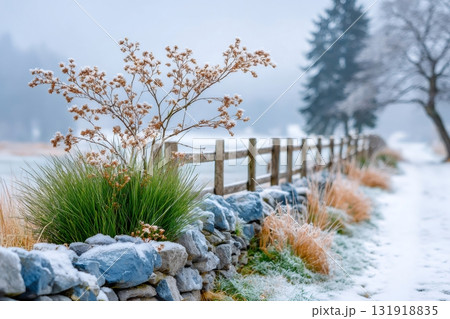 Icy plants and stone wall along snowy fence Icy plants and stone wall along snowy fence 131918835