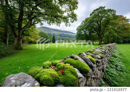 Mossy stone wall in rural green landscape 131918977