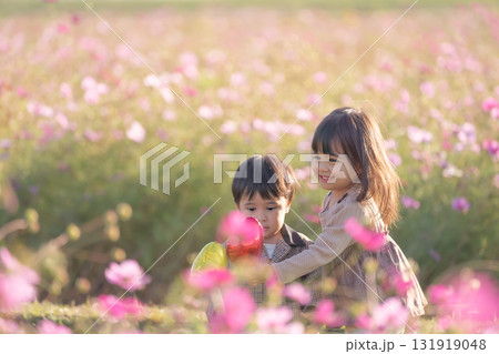 コスモス畑で遊ぶ幼い姉弟 コスモス畑で遊ぶ幼い姉弟 131919048