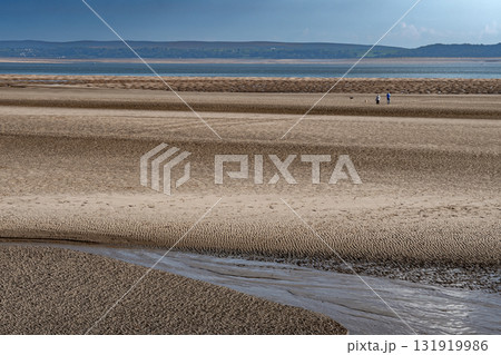 People With Dogs On The Sandy Beach Of Burry Port At Low Tide In Wales, United Kingdom 131919986