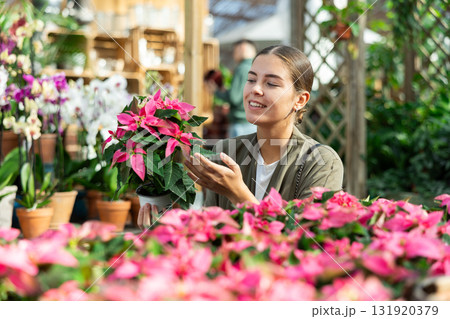 Young woman choosing poinsettia in flower shop Young woman choosing poinsettia in flower shop 131920379