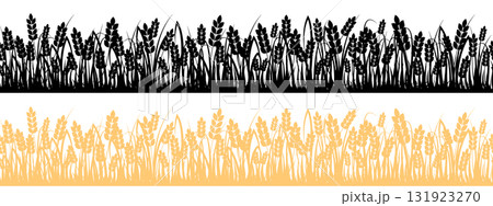 Silhouette and golden wheat field for natural backgrounds 131923270