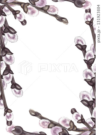A frame with fluffy willow branches. The illustration is hand-drawn in watercolor. For making Easter greeting cards and invitations. For packaging, labels, banners, and more. A frame with fluffy willow branches. The illustration is hand-drawn in watercolor. For making Easter greeting cards and invitations. For packaging, labels, banners, and more. 131923884