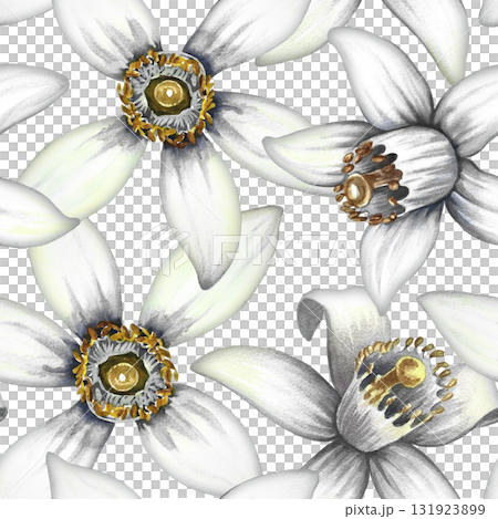 Seamless pattern with orange tree flowers. A hand-drawn watercolor illustration. For textiles, wallpapers and backgrounds. For packaging paper and labels, printing and decoration. Seamless pattern with orange tree flowers. A hand-drawn watercolor illustration. For textiles, wallpapers and backgrounds. For packaging paper and labels, printing and decoration. 131923899