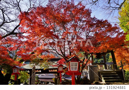 篠栗町　明石寺の紅葉 131924881