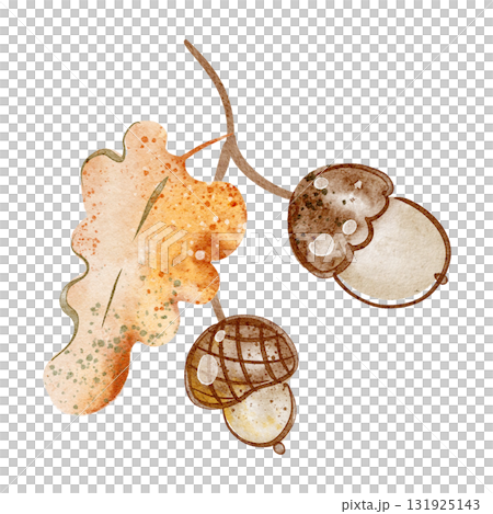 Watercolor oak branch cartoon illustration with acorn and leaf. Isolated hand-drawn element for autumn, forest and botanical design. For cards, labels, packaging, stickers, natural decoration themes. Watercolor oak branch cartoon illustration with acorn and leaf. Isolated hand-drawn element for autumn, forest and botanical design. For cards, labels, packaging, stickers, natural decoration themes. 131925143