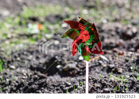 園芸用 鳥除けの風車 園芸用 鳥除けの風車 131925523