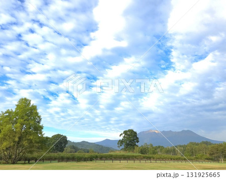 信州・御嶽山(御岳山) 信州・御嶽山(御岳山) 131925665