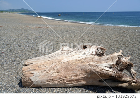 渥美半島 片浜十三里 渥美半島 片浜十三里 131925675