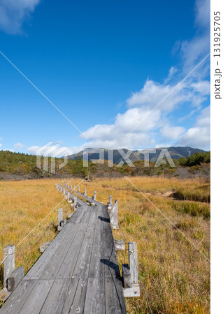 秋の沼っ原湿原の木道から見た紅葉の風景 秋の沼っ原湿原の木道から見た紅葉の風景 131925705