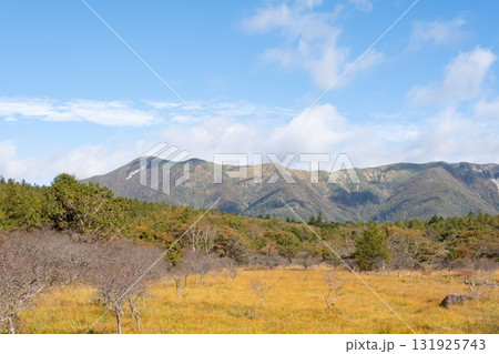 秋の沼っ原湿原の木道から見た紅葉の景色 秋の沼っ原湿原の木道から見た紅葉の景色 131925743
