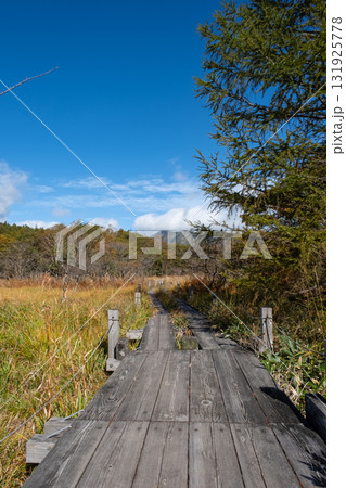 秋の沼っ原湿原の木道から見た紅葉の風景 秋の沼っ原湿原の木道から見た紅葉の風景 131925778