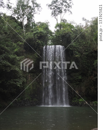 Millaa Millaa Falls–岩肌を縫う水の糸と森の呼吸 131925821