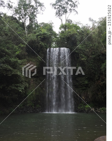 Millaa Millaa Falls–森の奥で水が描く垂直の静寂 Millaa Millaa Falls–森の奥で水が描く垂直の静寂 131925822
