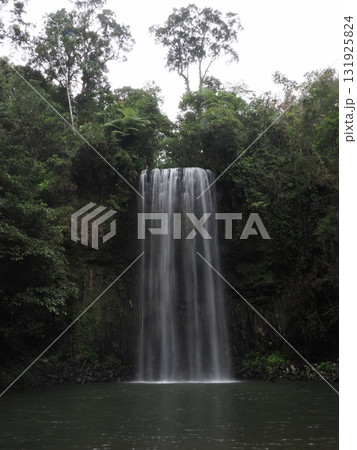 Millaa Millaa Falls–Queenslandの森に響く水の糸 131925824