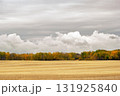 Autumn landscape in prairies with yellow stubbles and colorful trees. 131925840