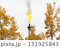 Orange flames coming out from flair pipe, yellow fall trees. 131925843