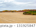Autumn landscape in prairies with yellow stubbles and colorful trees. 131925847