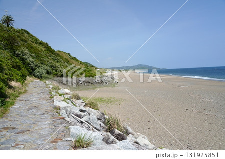 渥美半島　片浜十三里 131925851