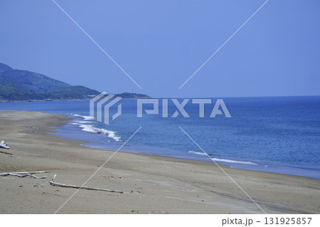 渥美半島　片浜十三里 131925857