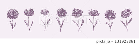 Delicate sketch textured muted purple flowers. Elegant outline ink brush hand drawing floral elements for women poster and feminine greeting card design, banner, logo, sticker 131925861