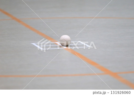 ボッチャ　イメージ 131926060