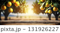 Lemon tree garden background created with generative Ai technology. 131926227