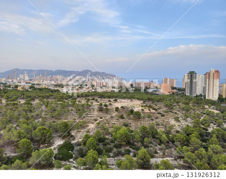 A Beautiful Aerial View of a Vibrant Urban Landscape with a Coastal Horizon and Lush Greenery 131926312