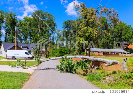 large tree has fallen across road, blocking access in peaceful neighborhood after tornado 131926954