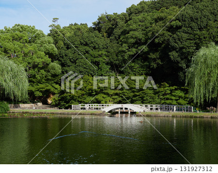 夏の徳川園の中で散策する女性観光客の姿 夏の徳川園の中で散策する女性観光客の姿 131927312