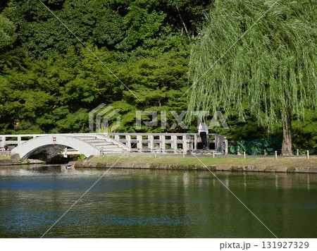 夏の徳川園の中で散策する女性観光客の姿	 131927329