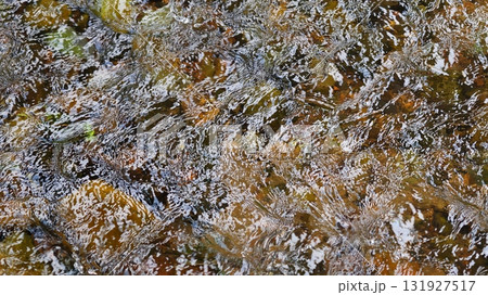 川底が見える水面の反射模様 川底が見える水面の反射模様 131927517