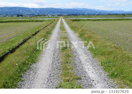 農道と田園風景 山形県庄内 農道と田園風景 山形県庄内 131927620
