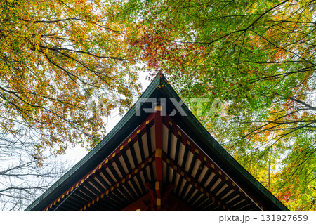 【東京都】色づき始めた紅葉が綺麗な高尾山薬王院 131927659