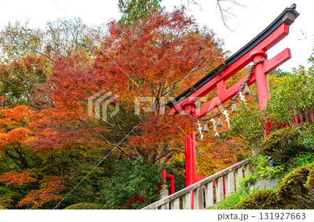 【東京都】色づき始めた紅葉が綺麗な高尾山薬王院 【東京都】色づき始めた紅葉が綺麗な高尾山薬王院 131927663