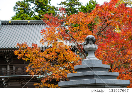 【東京都】色づき始めた紅葉が綺麗な高尾山薬王院 131927667