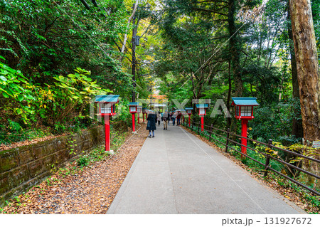 【東京都】色づく紅葉が綺麗な高尾山薬王院の参道 131927672