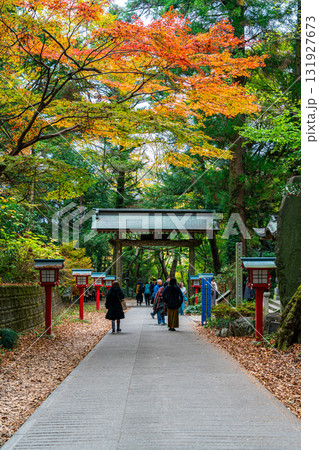 【東京都】色づく紅葉が綺麗な高尾山薬王院の参道 131927673