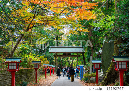 【東京都】色づく紅葉が綺麗な高尾山薬王院の参道 131927674