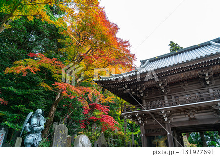 【東京都】色づき始めた紅葉が綺麗な高尾山薬王院の山門 131927691