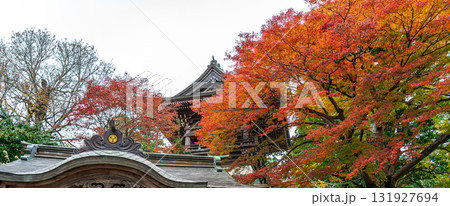 【東京都】色づき始めた紅葉が綺麗な高尾山薬王院 【東京都】色づき始めた紅葉が綺麗な高尾山薬王院 131927694